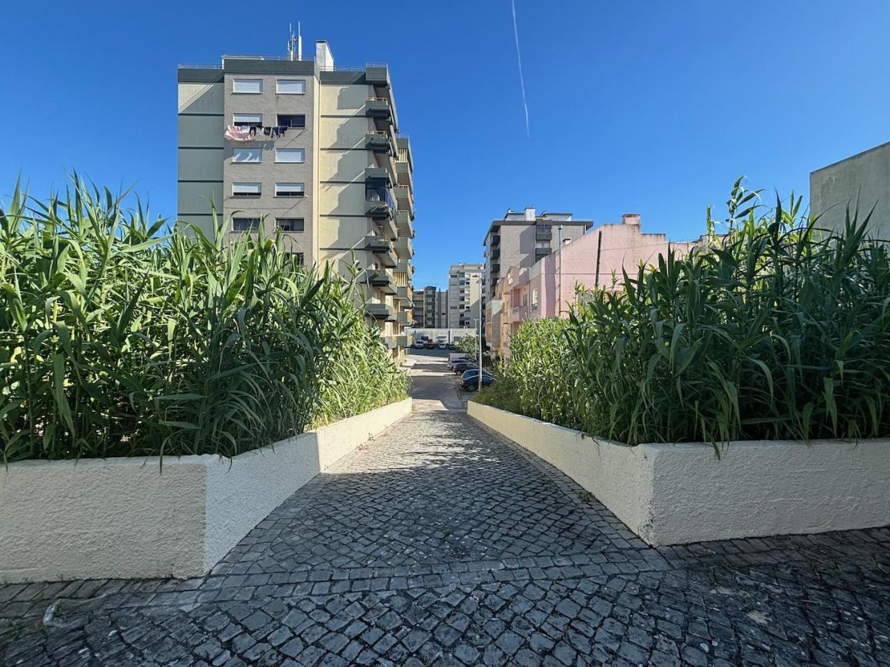 Rosário - two bedroom apart- Buarcos - Figueira da Foz Exterior foto